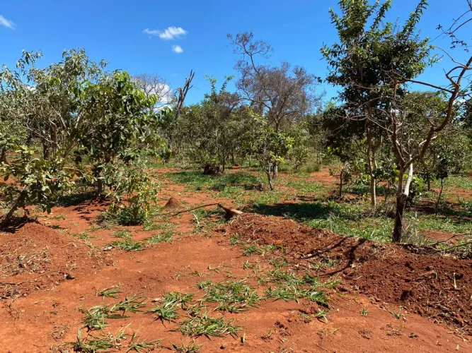 Excelentes terrenos para venda. Ótimas fazendinhas de 20.000 m2. SEM ENTRADA