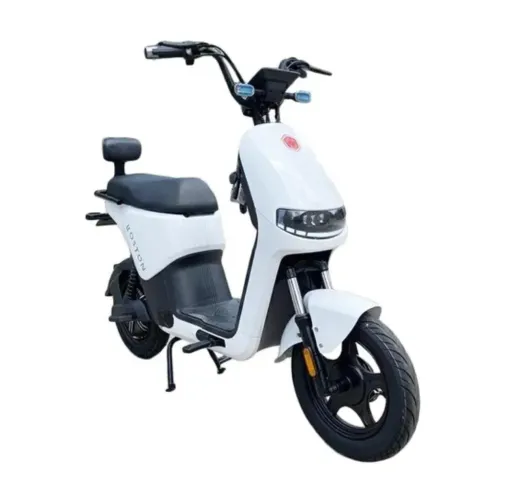 Moto elétrica Foston x15