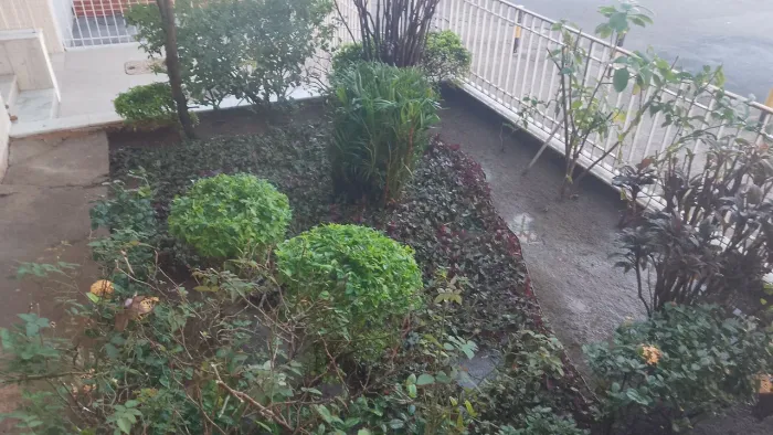 Jjardinagempaisagismoedecoracao