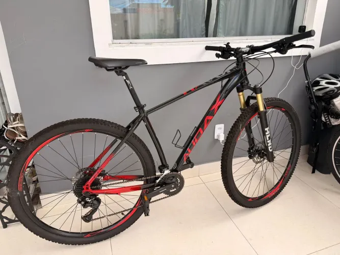 Bicicleta Audax