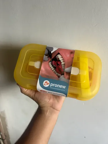 Manequim Articulado de Dentistica - Pronew