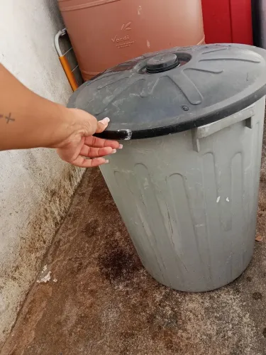 Cesta médio com tampa