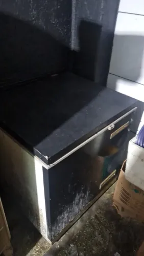 Freezer horizontal