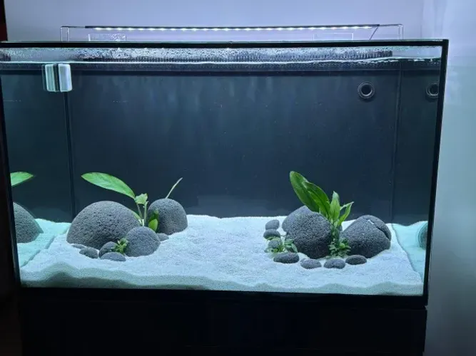 Aquário 270 Litros - Água Doce/salgada, com Equipamentos para funcionamento