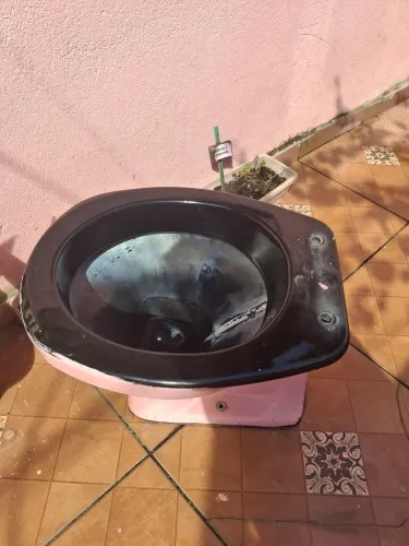 Vaso sanitário rosa