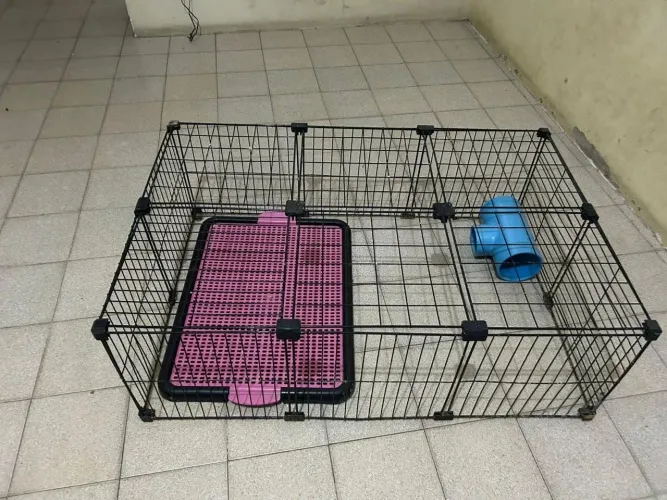 Cercado pra porquinho da índia