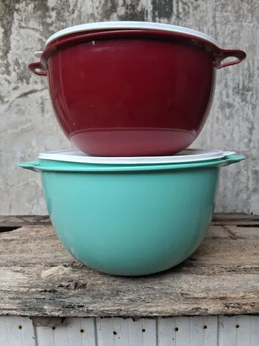 Vasilhas Tupperware Grandes com Tampa - Kit 2 Peças