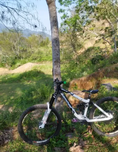 Bike DH Banshee Wildcard