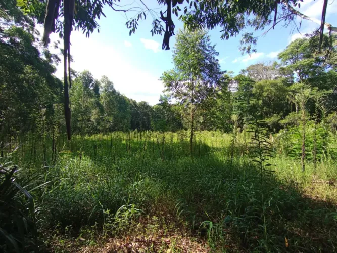 Sitio - Bairro Morro Agudo