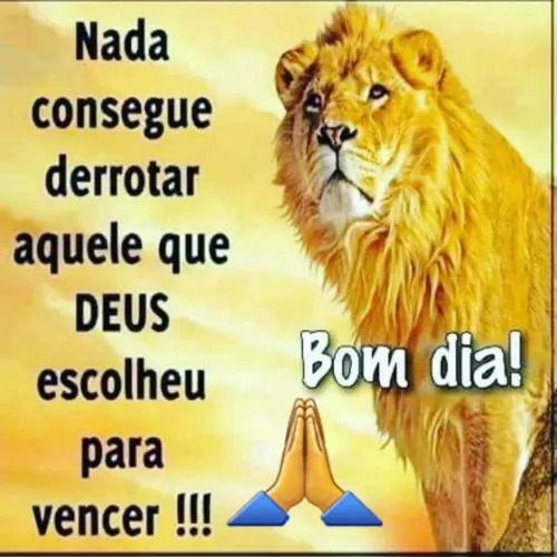 Pedreiro especialista em telhado
