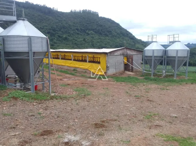 TERRAS COM PLANTIO E CHIQUEIRÃO DE PORCOS