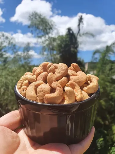 Castanhas de caju Premium inteiras 500g