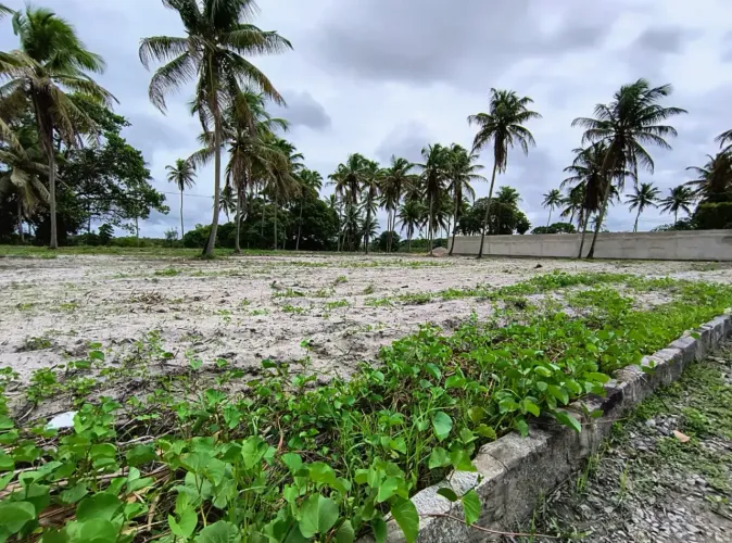 Super oportunidade - Porto de Galinhas