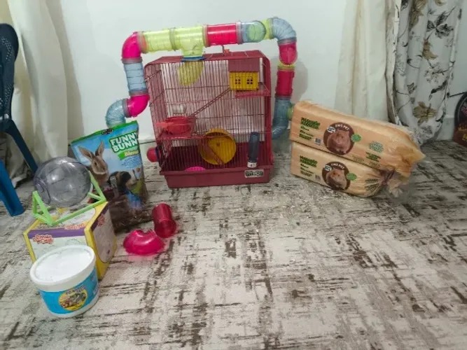 Kit hamster com gaiola