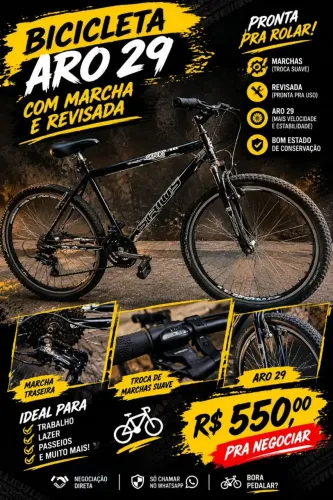 Bicicleta