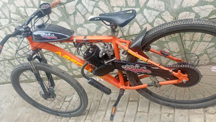 Bicicleta motorizada aro 29