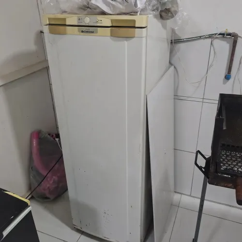 Freezer vertical 