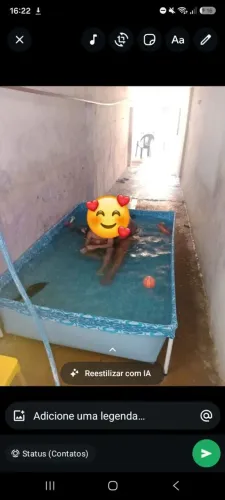Piscina de Armação Mor 1.000 Litros - Perfeita para Crianças e Espaços Estreitos!