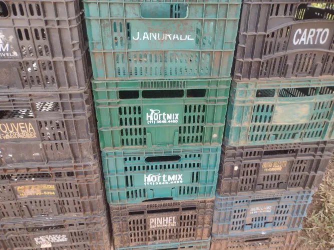 Caixas plásticas Hortifruti VENDO