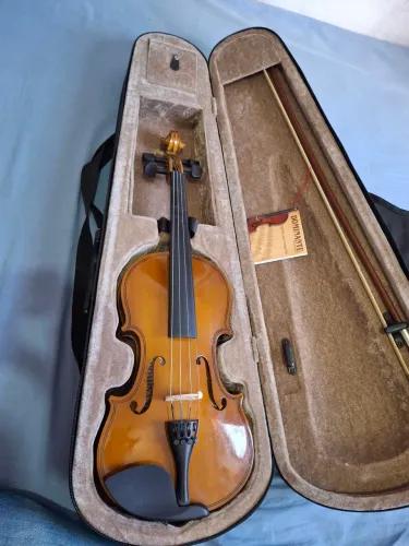 Violino dominante