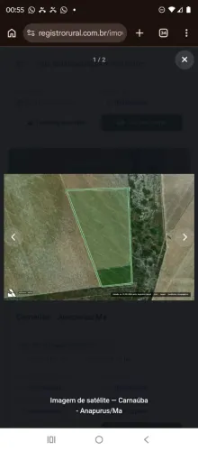 Vendo mais de 100 hectares
