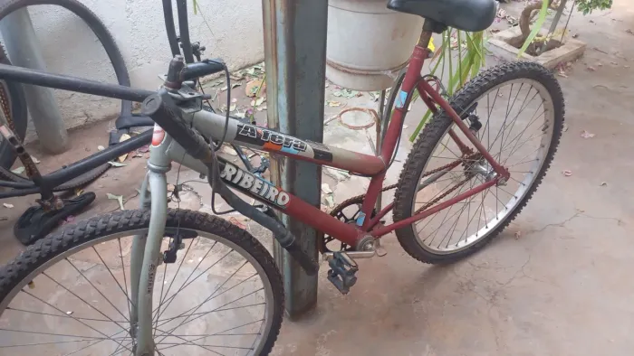 Bicicleta 