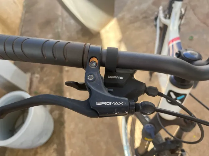 Bicicleta Riverside 520