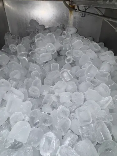 Gelo Cubo 3kg