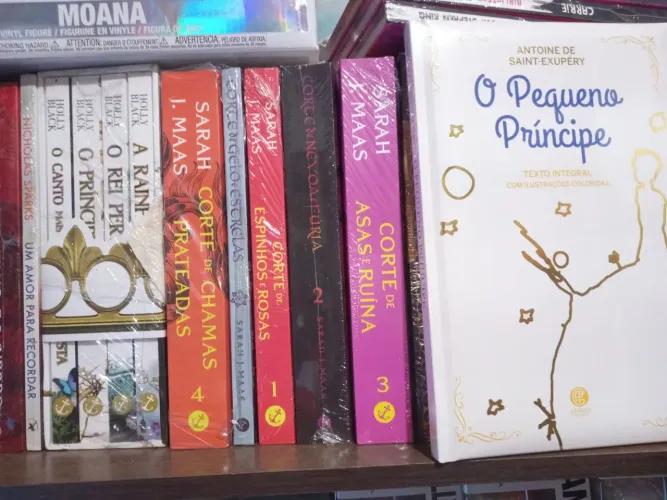 Corte de espinhos e rosas, box principe cruel, pequeno príncipe e garota da casa ao lado 