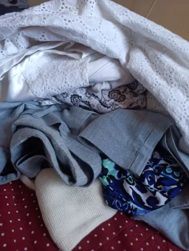 Lote de roupas femininas usadas (20 peças)