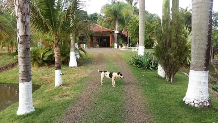 Linda Chacara Proximo Uninga