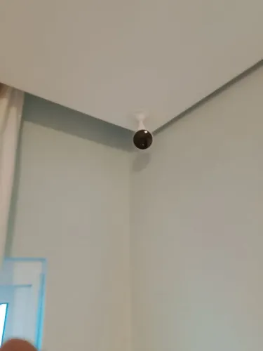 Câmeras ,cerca elétrica