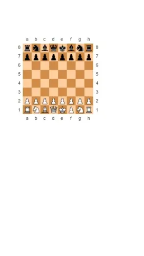 Aulas de Xadrez