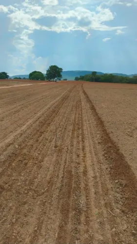 Fazenda a venda, em Peixe Tocantins!!!