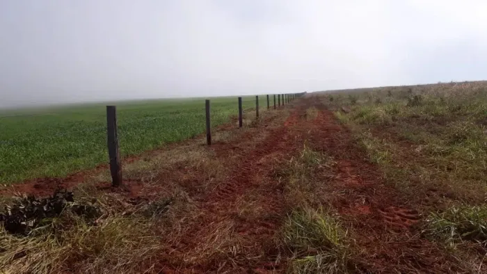 Mato Grosso do Sul, Fazenda área total 3.454 ha, planta 1.200 ha, à venda, Zona Rural, Son