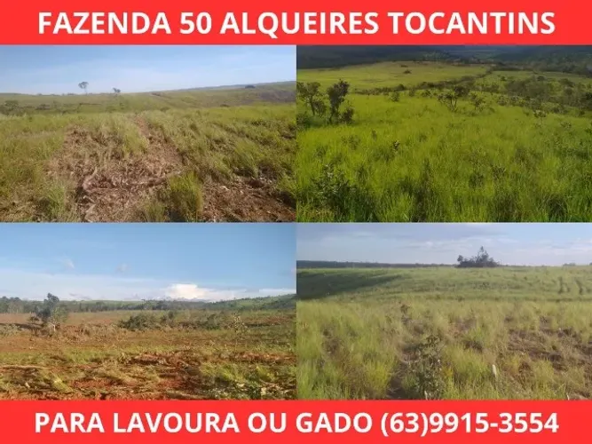 Fazenda ideal para gado ou lavoura, Vendo em Porto nacional Tocantins 