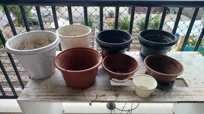 Vasos diversos para plantas