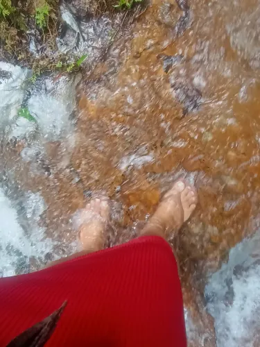 Sítio 25 hectares top tem nascente dentro