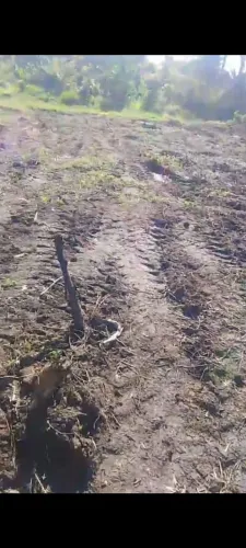 VENDE-SE UM TERRENO NA ILHA DE ITAPARICA