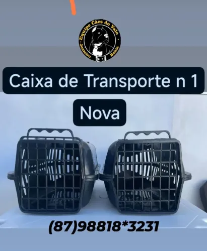 caixa de tansporte