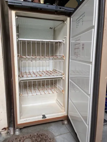 Freezer Consul 