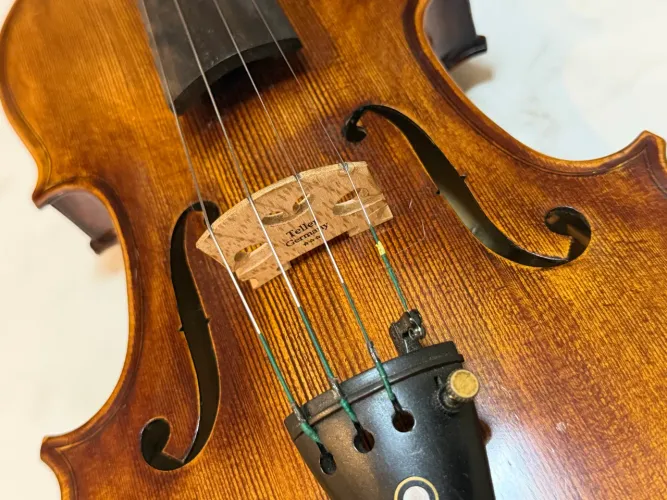 Violino EAGLE VK 544