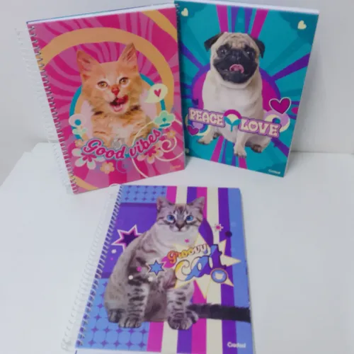 Kit 5 Caderno de 10 matérias