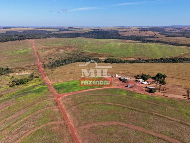 Fazenda 300 Alqueires (1.452 hectares) Doverlândia - GO
