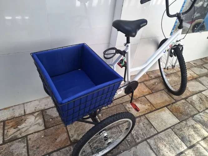 Triciclo com cesto para pet, gato, cachorro, entrega ou venda