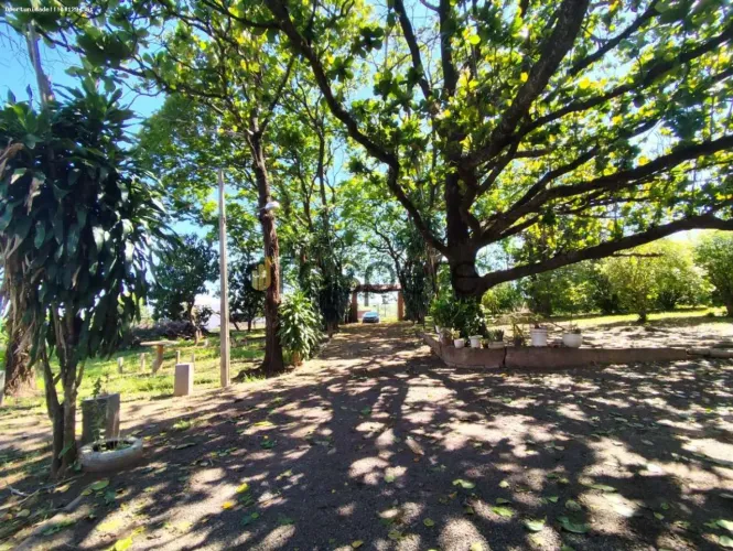 Chácara para Venda em Álvares Machado, jardim panorama, 2 dormitórios, 1 banheiro, 10 vaga