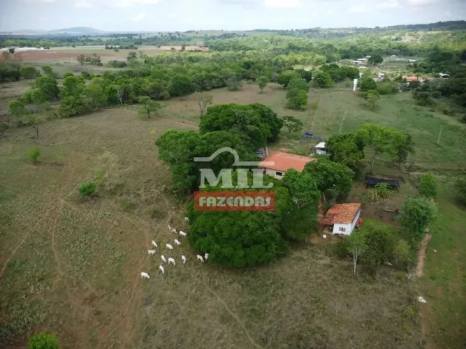 Chácara 3 Alqueires (14,50 Hectares) Mairipotaba - GO