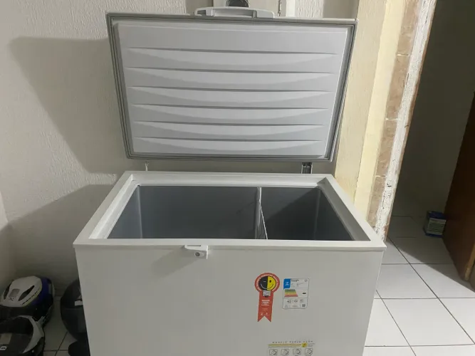 Freezer Electrolux 