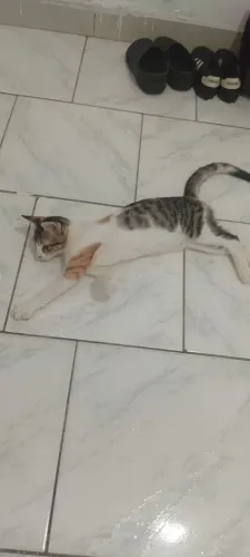 Doação ?