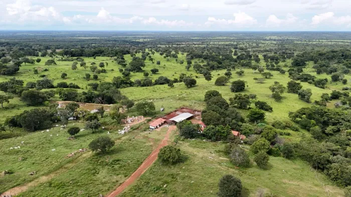 Fazenda 398 alqueires Dupla Aptidão!